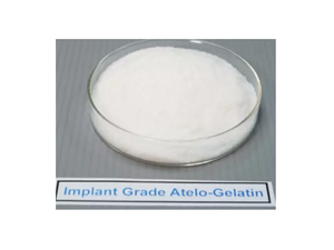 Implant Grade Atelo-Gelatin去端肽植入级明胶粉.png