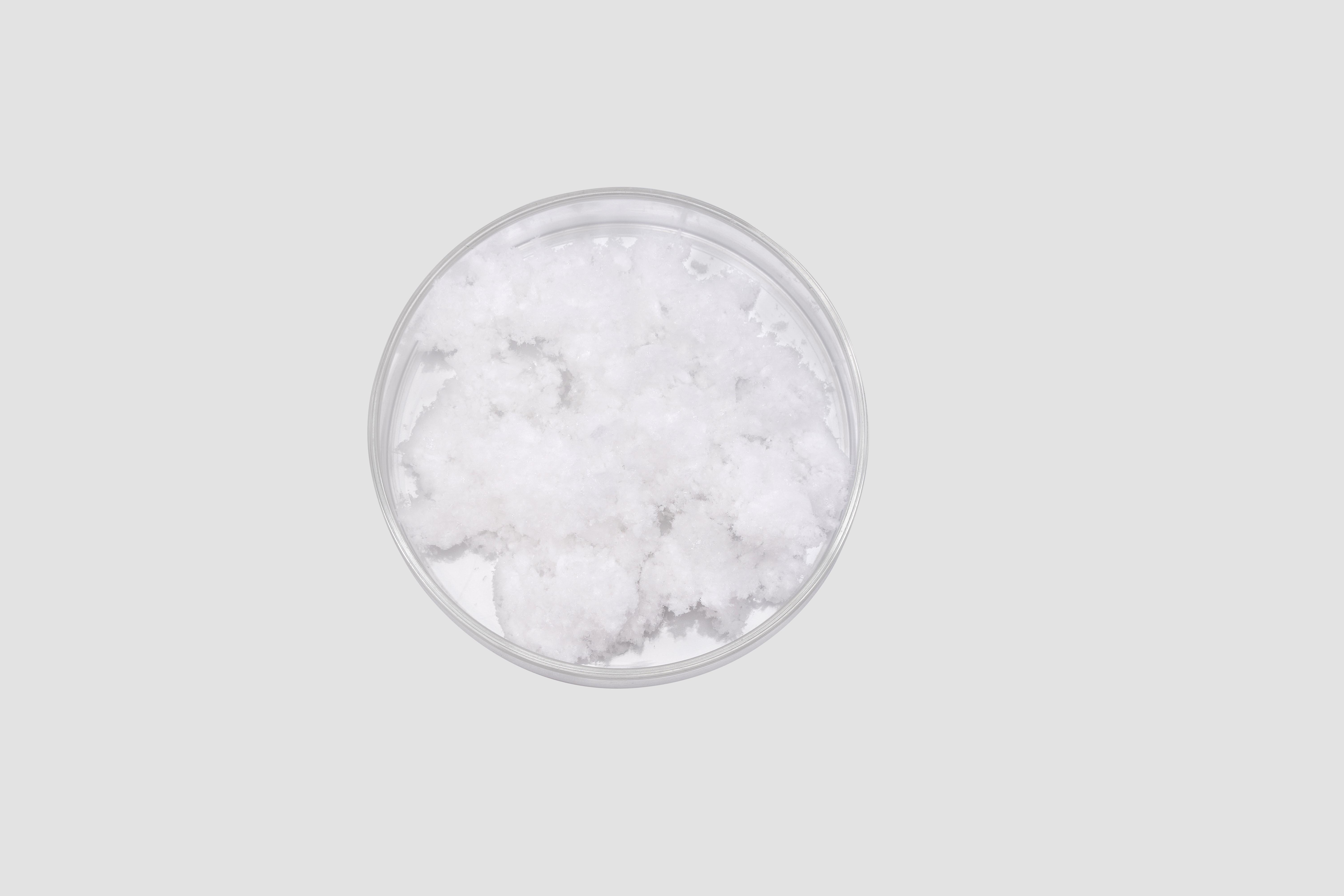 Suda çözünür atelocollagen tozu 