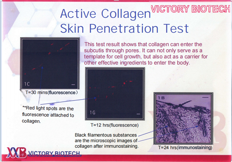 6ffa87c4fa3e2d7f210a56d410d8b3b