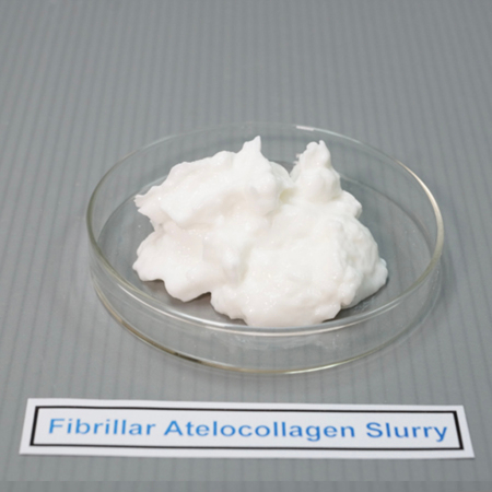 Fibriler atelocollagen bulamaç